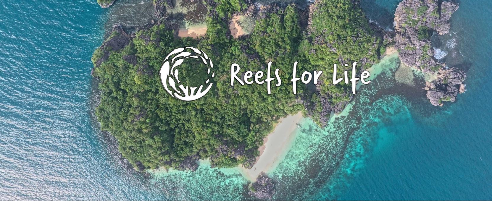 Load video: Coral Reef Restoration through ELECTRO MINERAL ACCRETION (EMA), Reefs for Life works along side community leaders to help start social enterprises - businesses that allow people to earn money and at the same time help the environment.  Our education programs empower the people with the knowledge to manage their natural resources in sustainable ways.